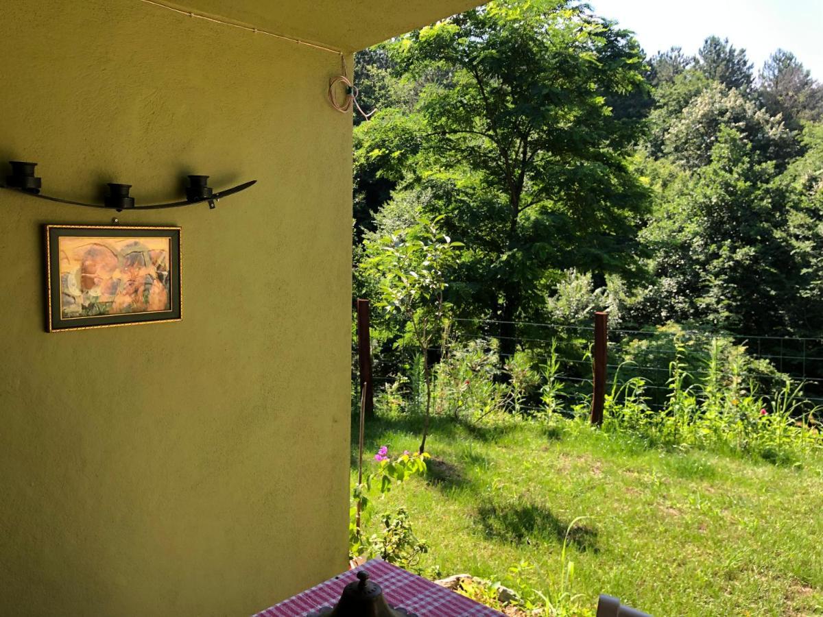 Happyhobbit Forest, Lake View, Fireplace , Jakuzi ,In Sapanca Kültér fotó